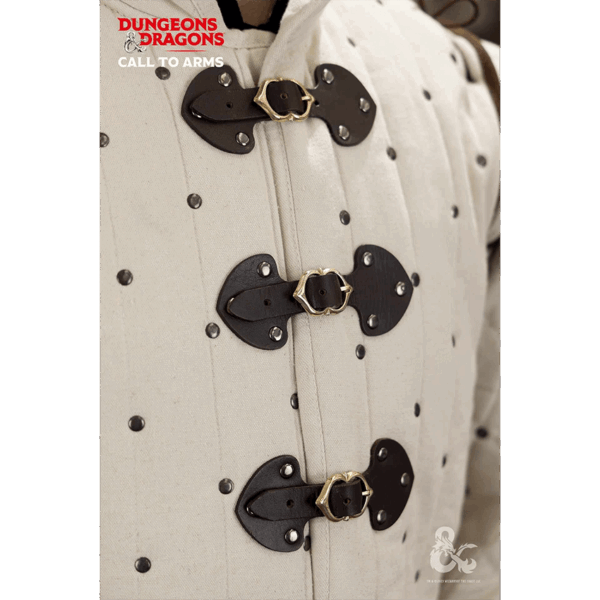 Dungeons & Dragons Studded Gambeson