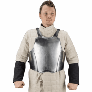 Dungeons & Dragons Steel Torso - Polished