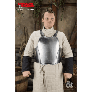 Dungeons & Dragons Steel Torso - Polished