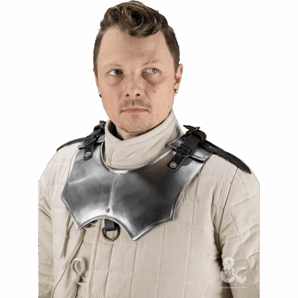 Dungeons & Dragons Steel Gorget - Polished