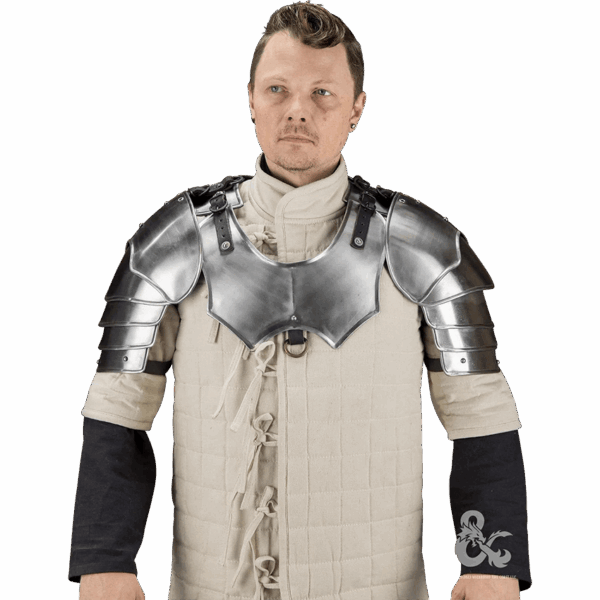 Dungeons & Dragons Steel Pauldrons - Polished