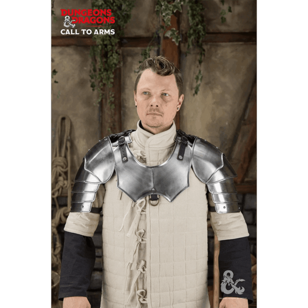 Dungeons & Dragons Steel Pauldrons - Polished