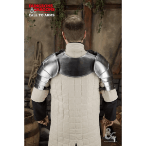 Dungeons & Dragons Steel Pauldrons - Polished
